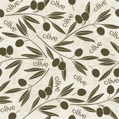 Вектор силуэты оливковых веточек с плодами, надпись olive на фактурном светлом